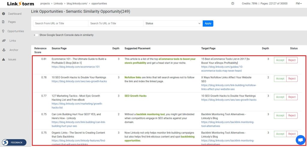 Screenshot of LinkStorm's Semantic Similarity Internal Link Opportunities